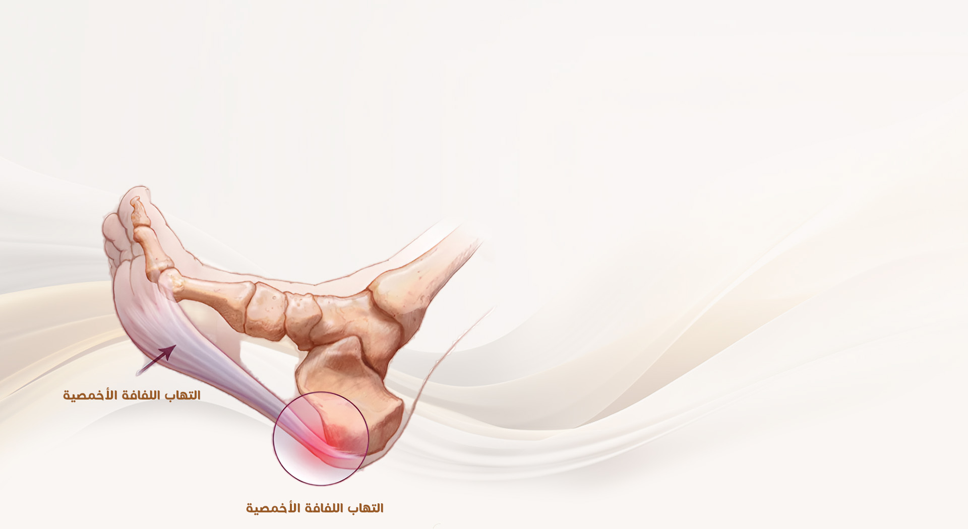 مركز الدكتور علي أبو لباد لجراحة العظام والمفاصل والقدم والكاحل